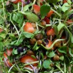 Strewberry salad