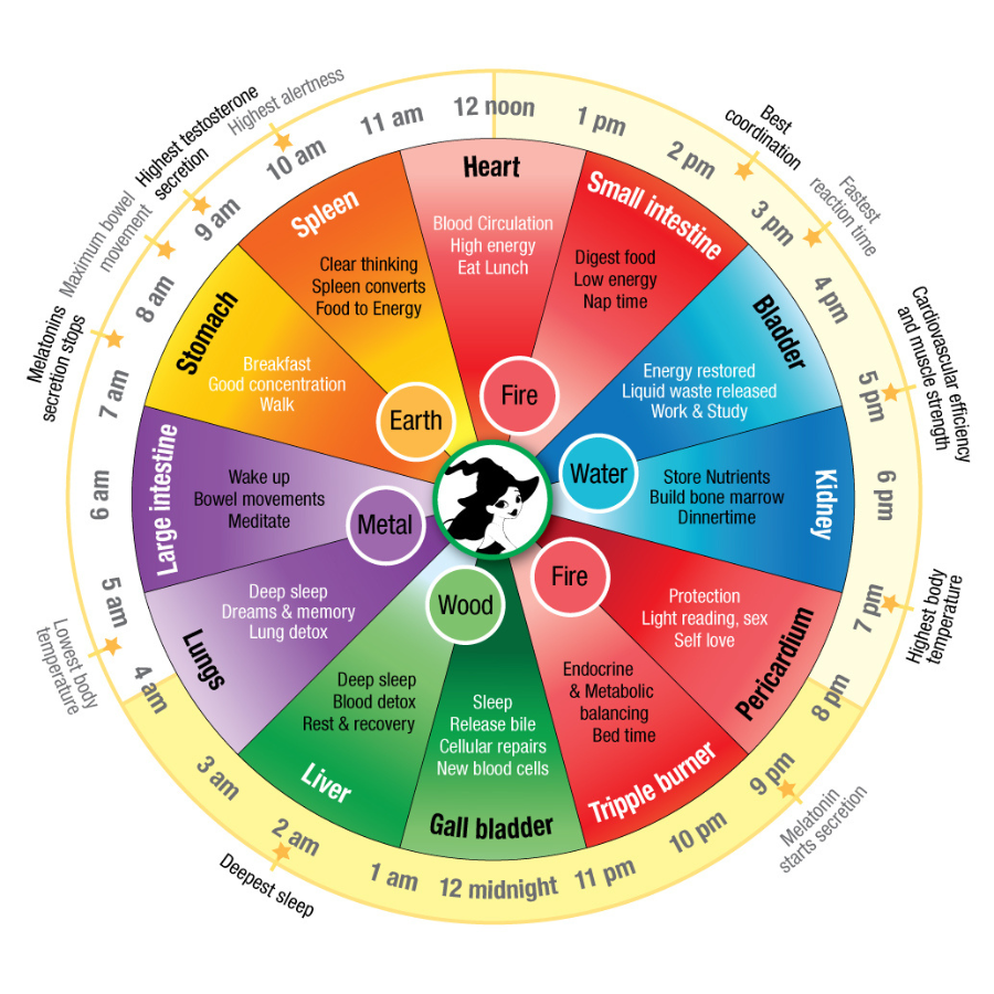 Mindful Eating Circle