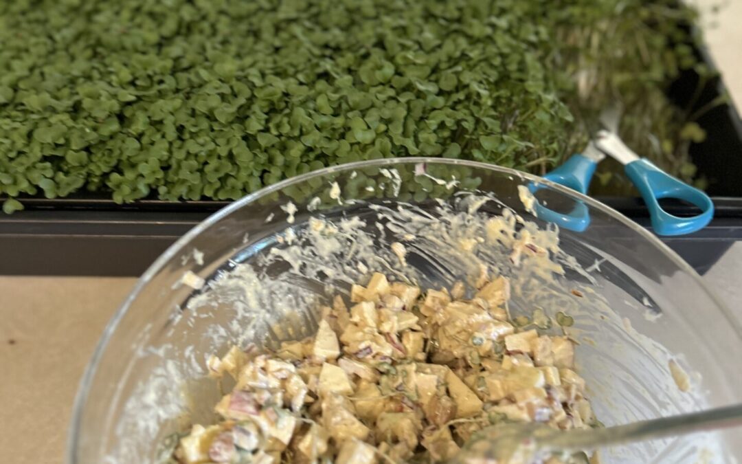 Chicken Salad