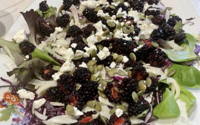 Fennel and Blackberries Salad