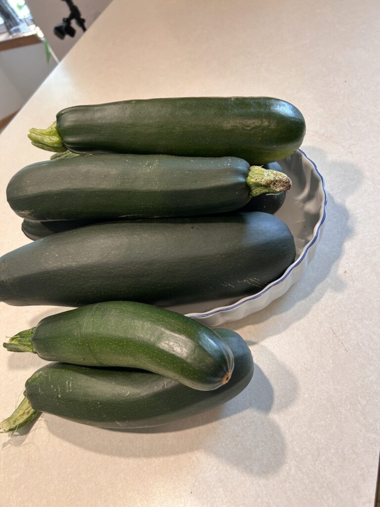 Zucchinis